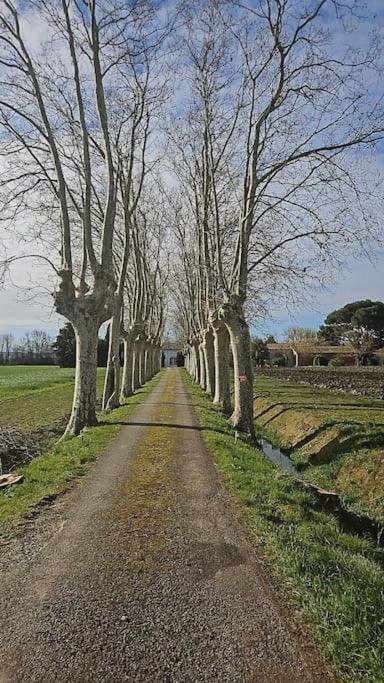 Hebergement - Canal Du Midi Saint-Martin-Lalande Kültér fotó